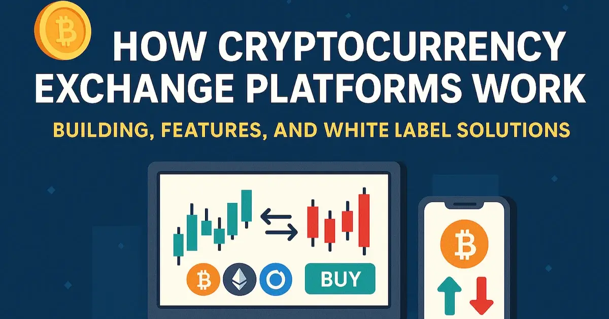 How cryptocurrency exchange platforms work – centralized, decentralized, and hybrid trading explained with key features and white label solutions